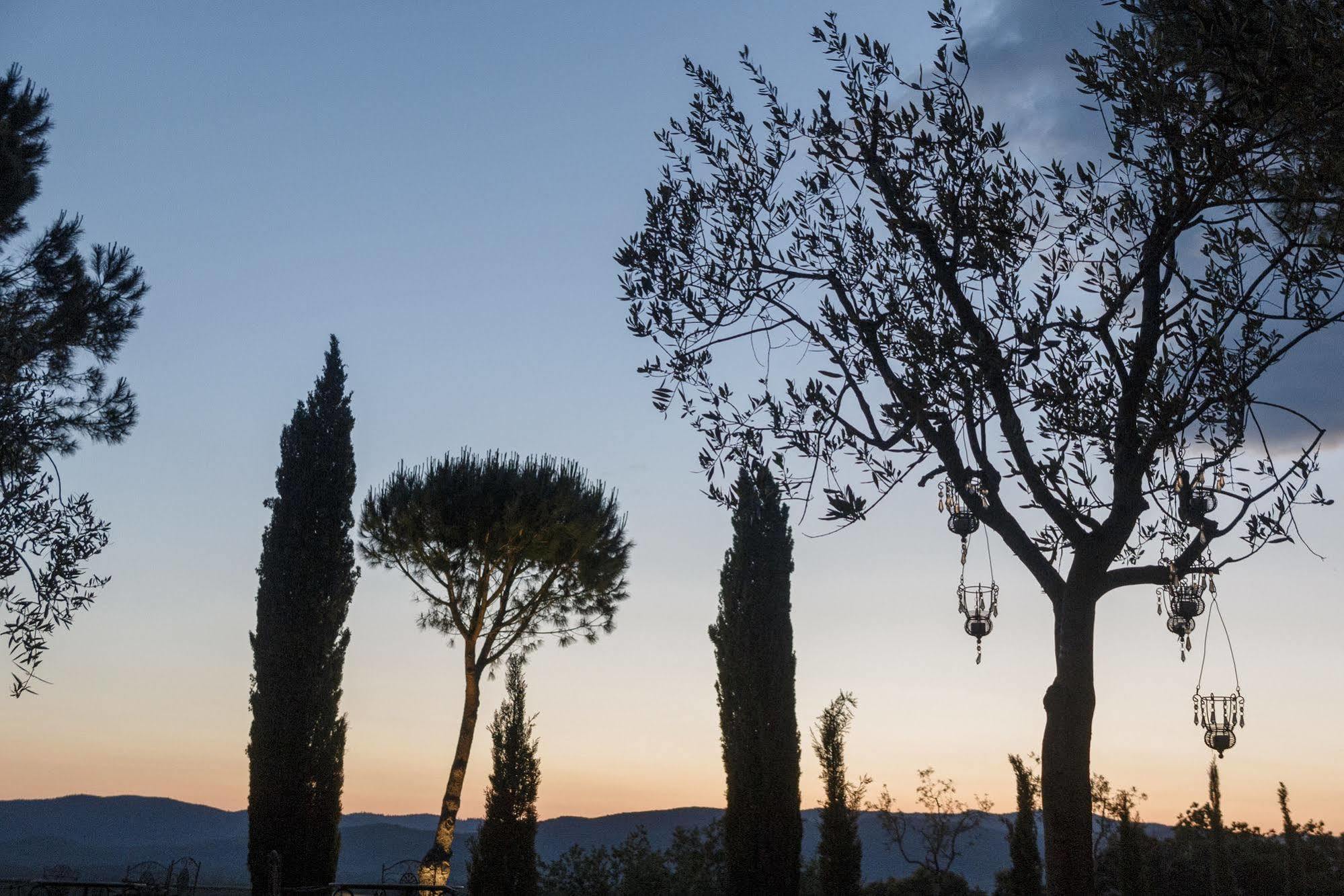 Wine Resort Conti Di San Bonifacio Montemassi Exteriör bild